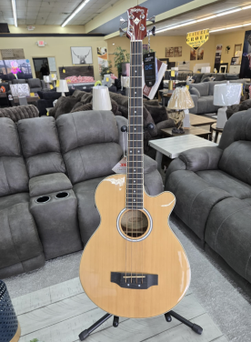 Acoustic Bass w/ Bag