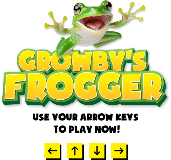 Growby's frogger use your arrow keys to play now!